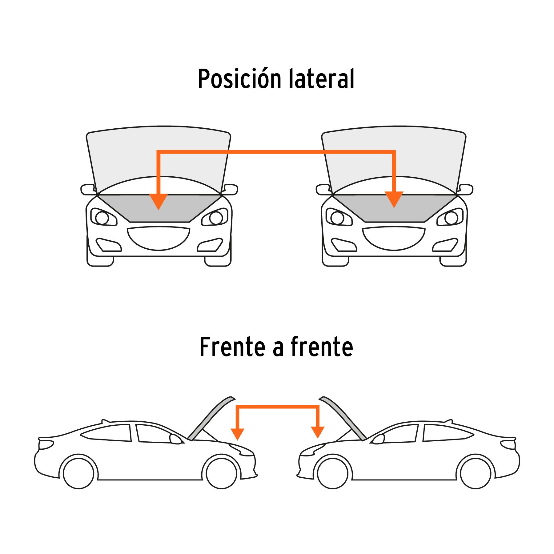 Imagen de la diapositiva