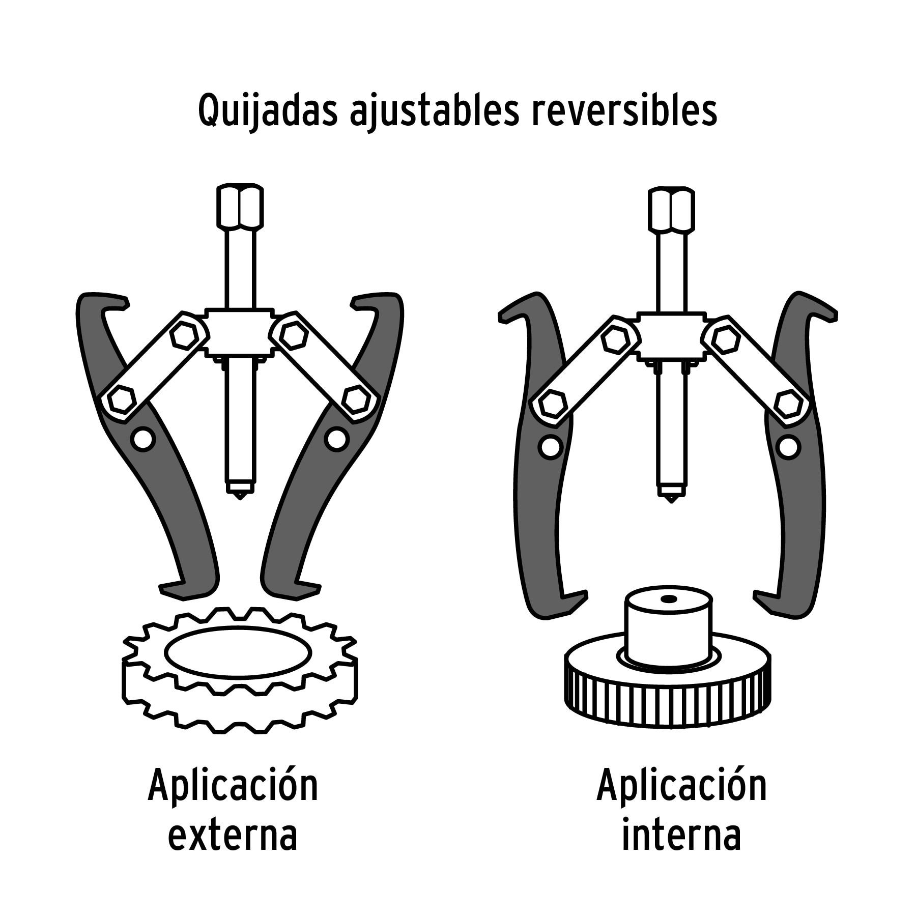 Imagen de la diapositiva