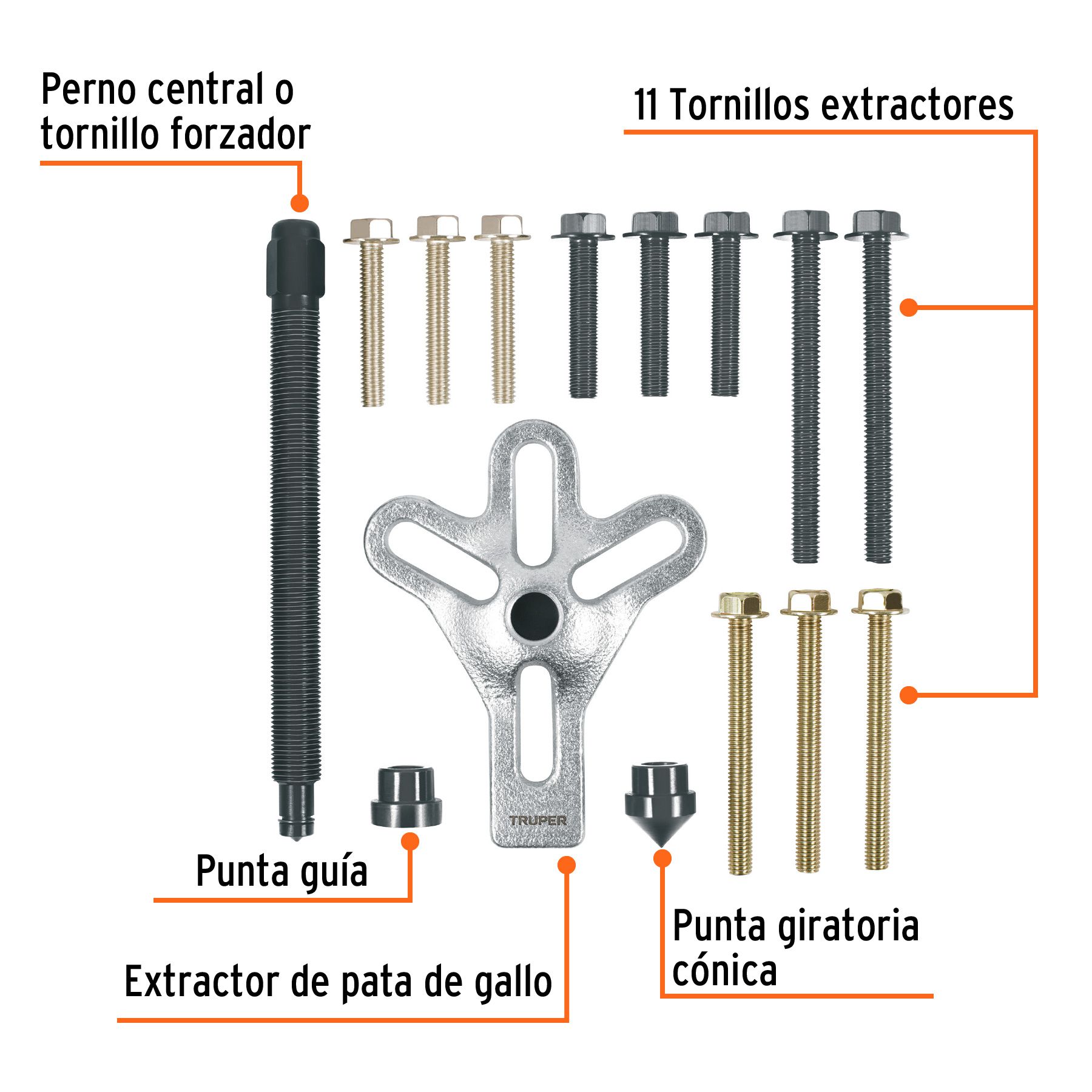 Imagen de la diapositiva