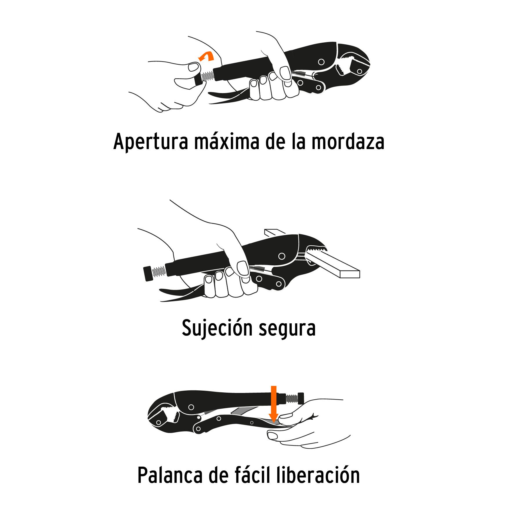 Imagen de la diapositiva