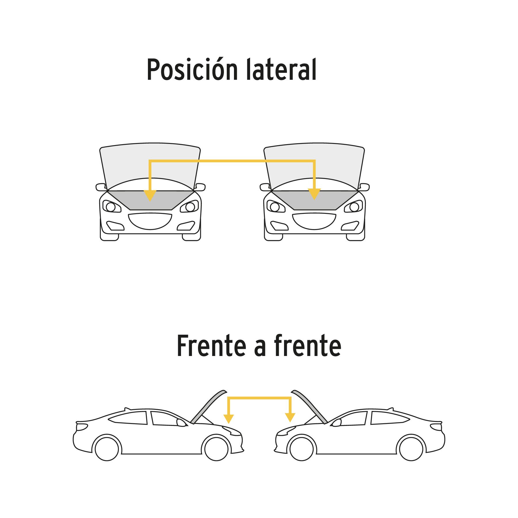 Imagen de la diapositiva