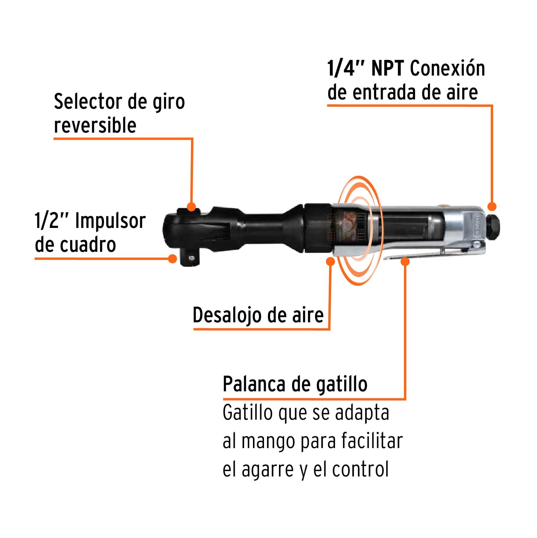 Imagen de la diapositiva