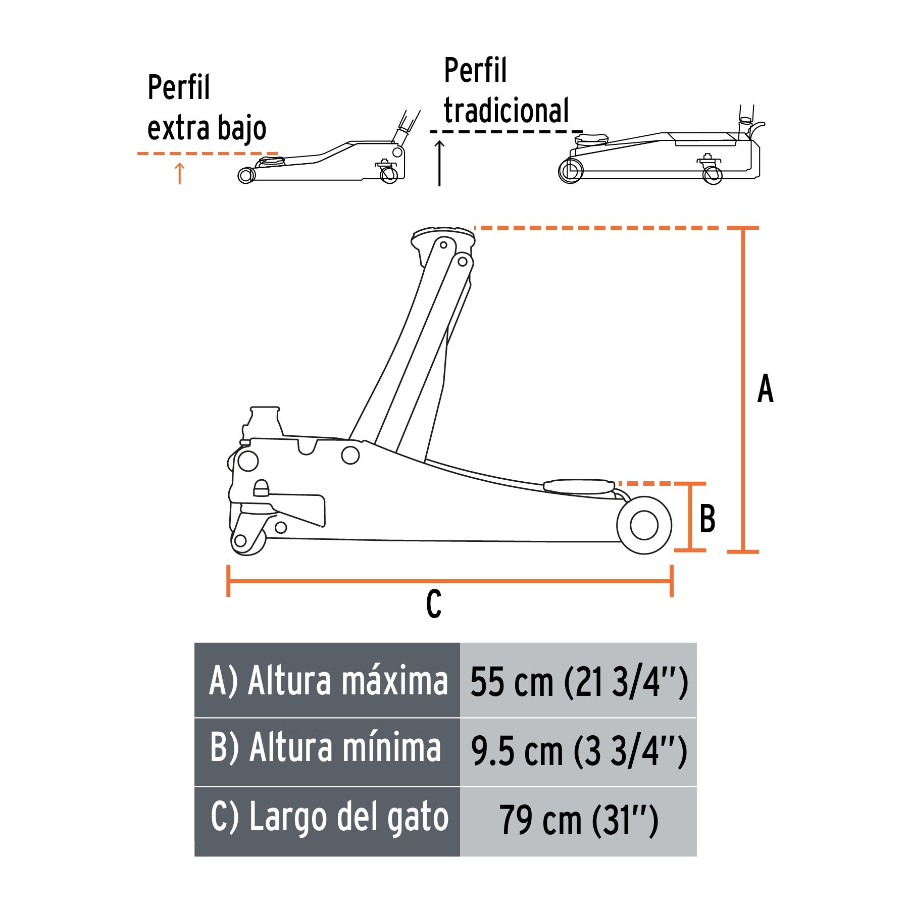 Imagen de la diapositiva