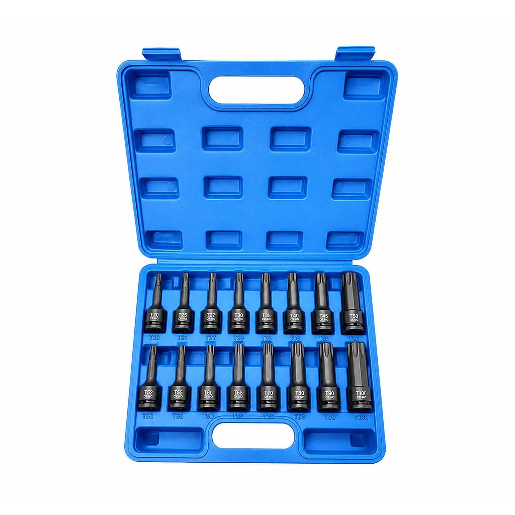 # KIT 16 PNTAS TORX (impacto) 3653