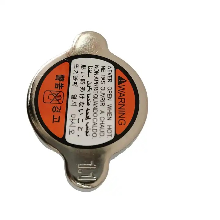 P1 TAPA RADIADOR ATOS 1.1 (MOBIS) 25330-3P000<