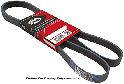 CORREA JOURNEY 2.4 (GATES) 6PK2575