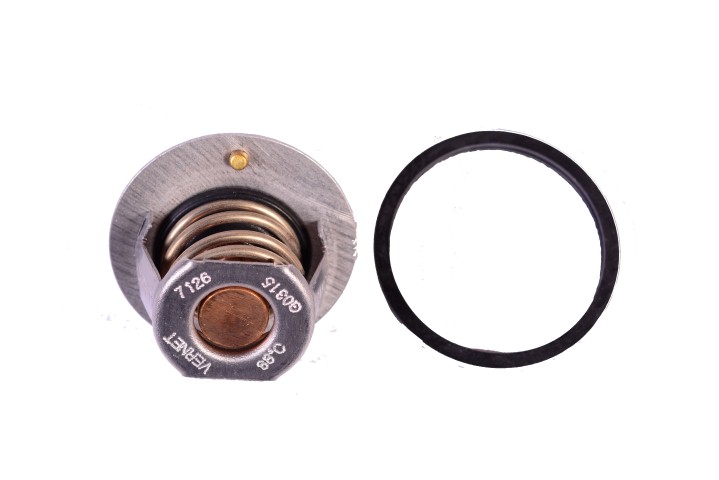 P3-10-D6 TERMOSTATO N200 N300 TH7126.88<