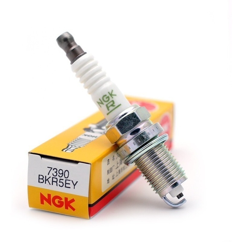 BUJIA (NGK) BKR5EY