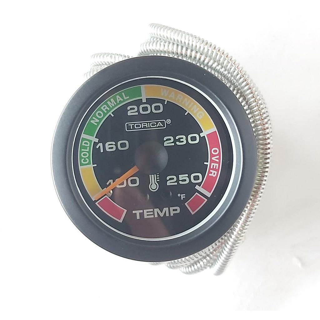 P2-19-A4  RELOJ TEMPERATURA G-LARGA  - 3 METROS -  (TORICA) GTC-500<