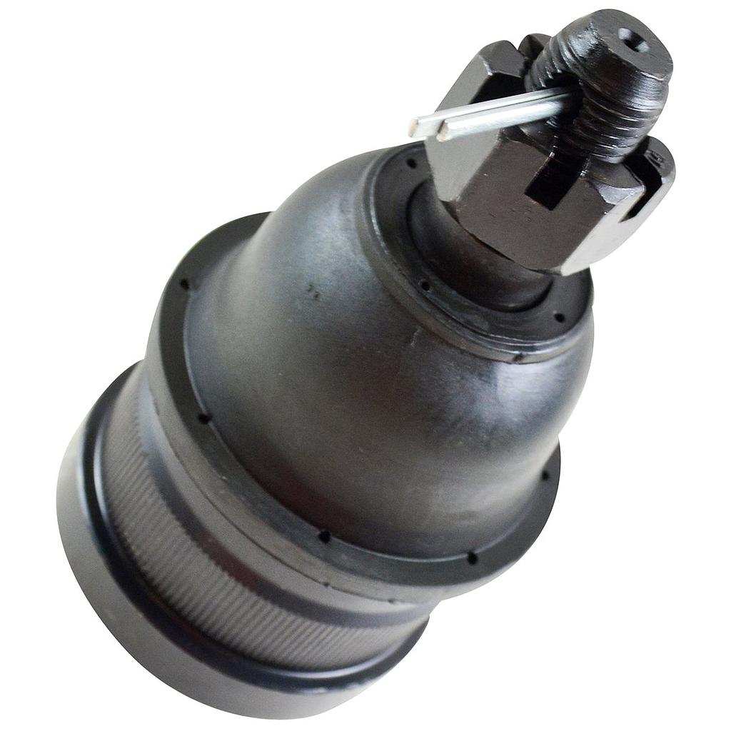 P3-28-I1 ROTULA CHEYENNE INFERIOR TODOS (GDS) K6293