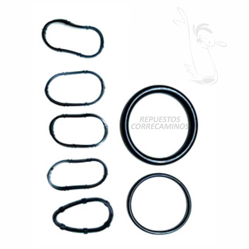 P3-15.1-Ñ1 EMPAQUE LIGAS RENAULT ADMISION KIT MI65401092 <