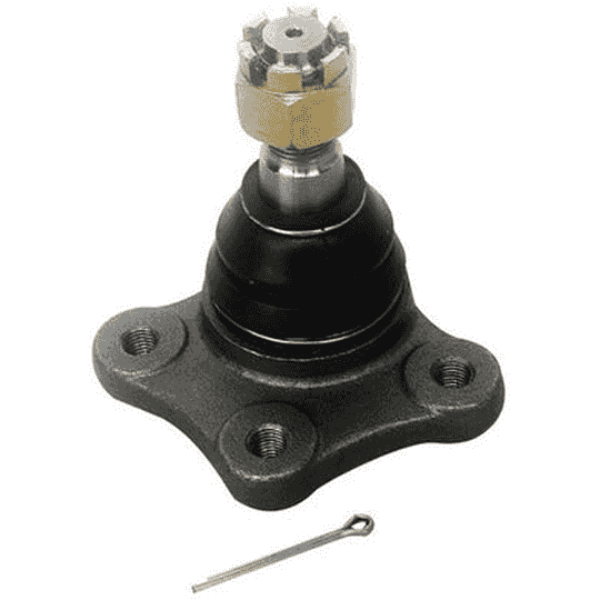 P3-28-K2  ROTULA BESTA INFERIOR SO83-99-356