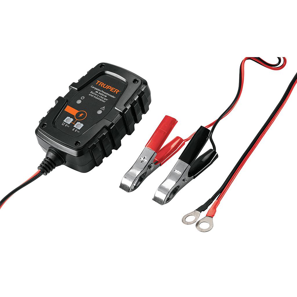 P3-48-B5 CARGADOR BATERIAS 6V 12V 101610