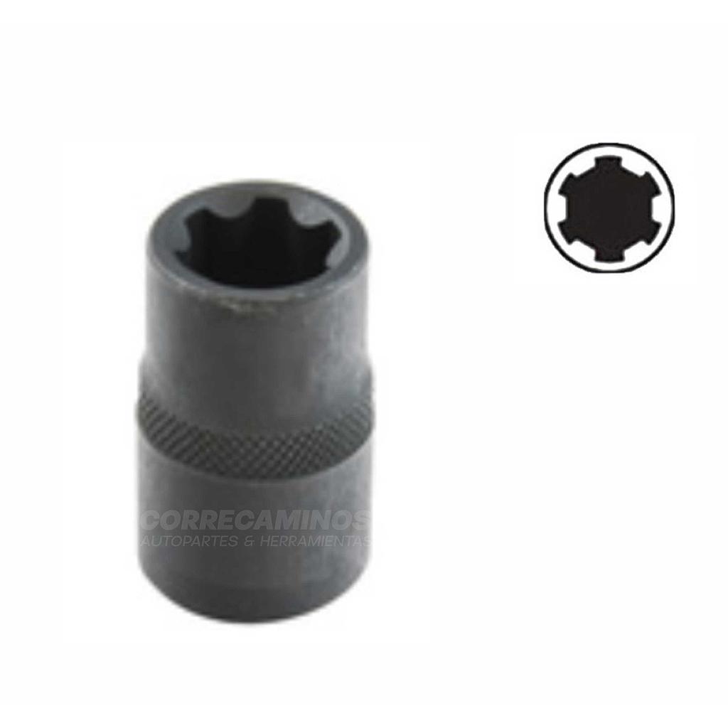 COPA RIBE M12