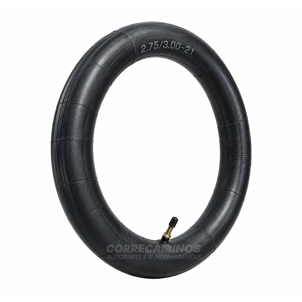 NEUMATICO MOTO RIN 21 - 300